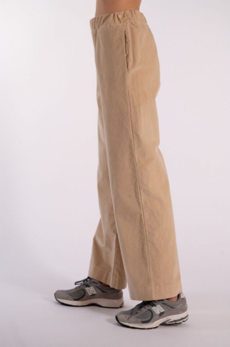 VELOURS LIZ 60 LIGHT BEIGE