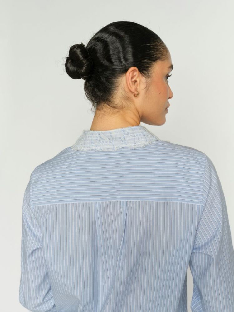835 BRUNNERA BL