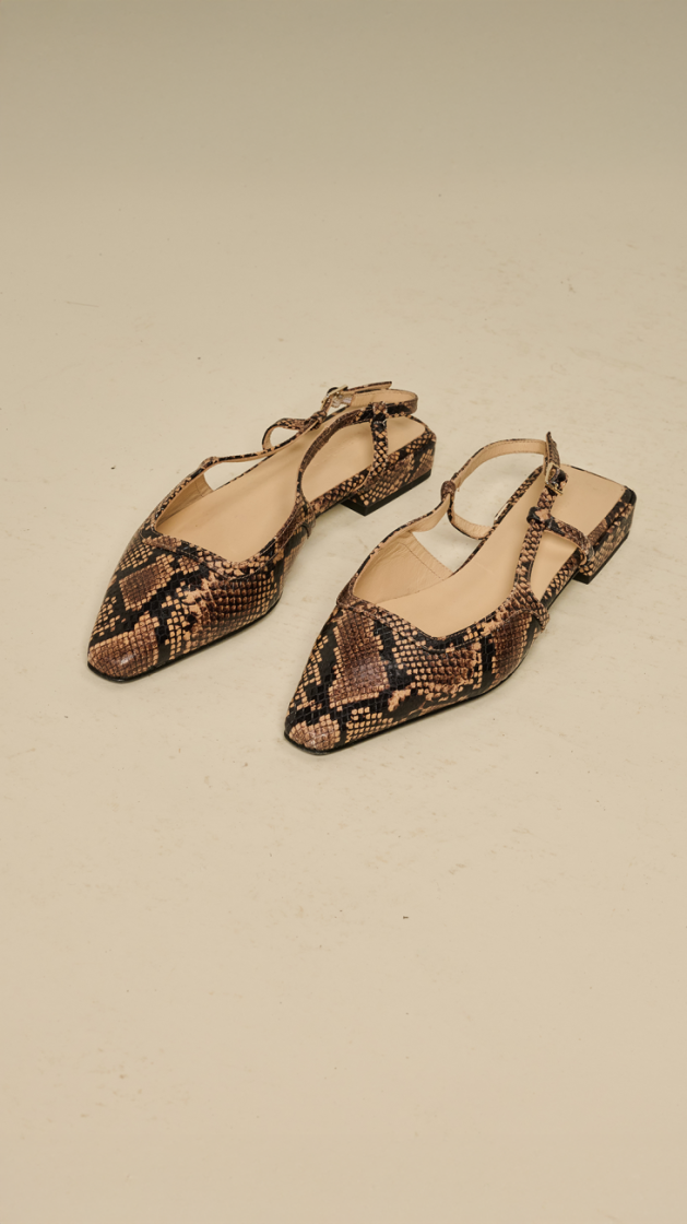 PYTHON BRONZE