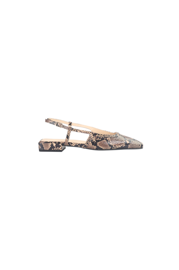 PYTHON BRONZE