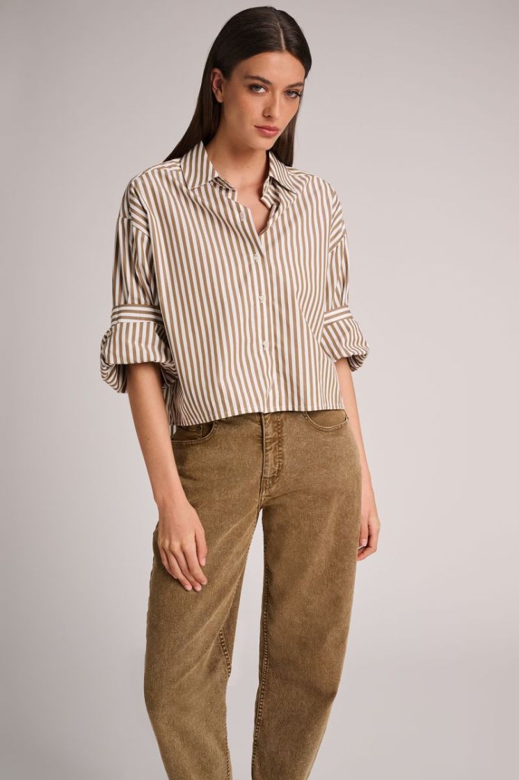 POPLIN STRIPES OLIVE