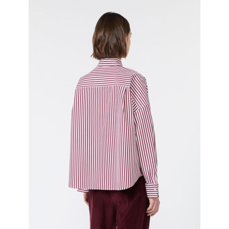 STRIPE  005