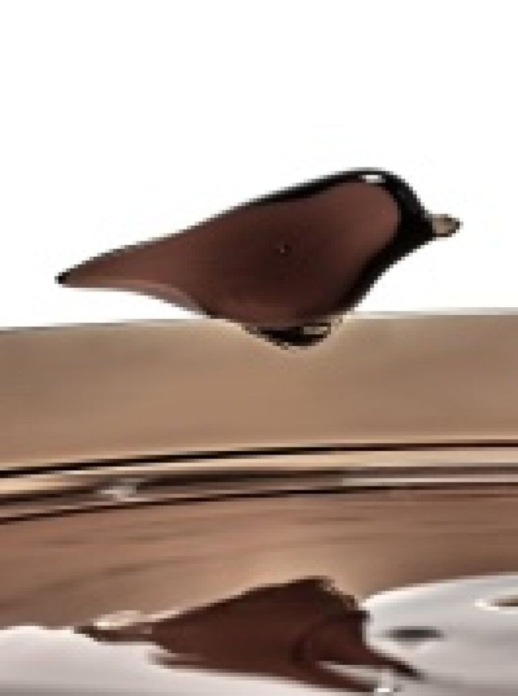 KELLY WREASTLER TRAY AMBER
